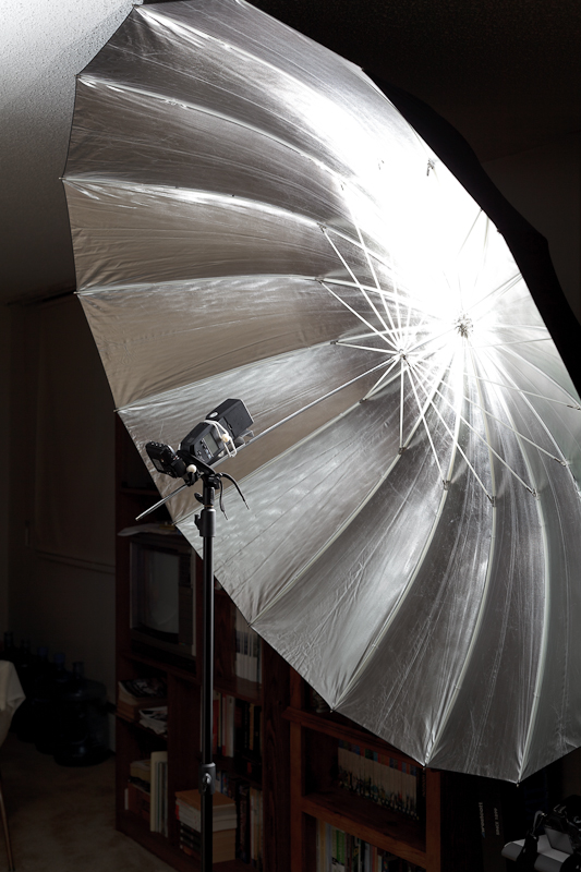 IMAGE: http://www.diamantstudios.ca/Ablage/Bild/Examples/Parabollic.jpg