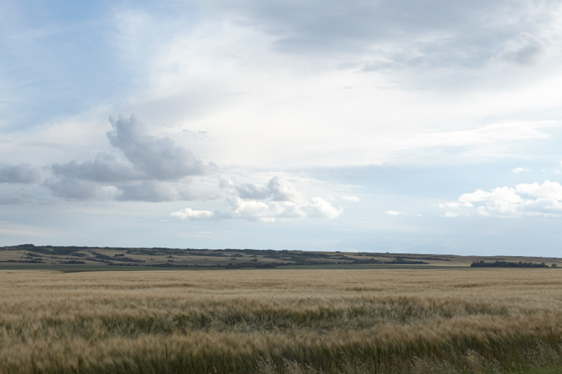 IMAGE: http://www.diamantstudios.ca/Gemeines/Bilder/Examples/DS-2637_SOOC.jpg